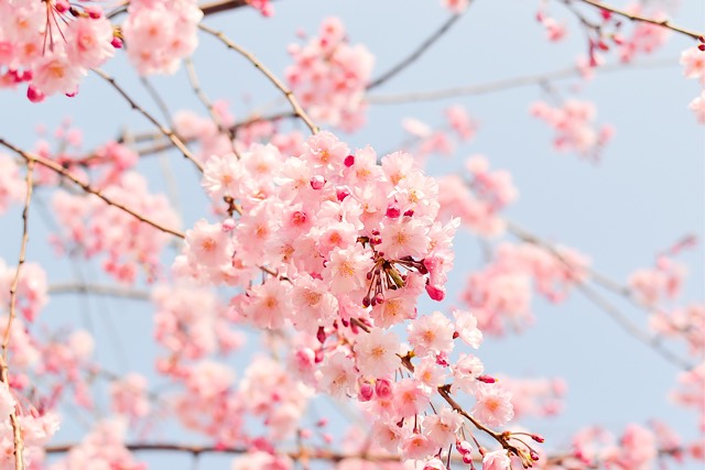 %e6%9d%bf%e6%a9%8b%e6%9c%ac%e7%94%ba%e3%81%a7%e5%a7%8b%e3%82%81%e3%82%8b%e6%98%a5%e3%81%ae%e3%83%80%e3%82%a4%e3%82%a8%e3%83%83%e3%83%88%ef%bd%9c%e7%84%a1%e7%90%86%e3%81%aa%e3%81%8f%e7%b6%9a%e3%81%8f